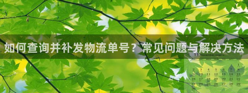 ,优游国际圈：如何查询并补发物流单号