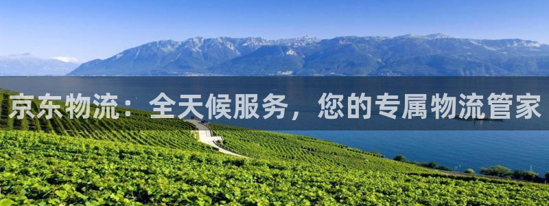 ,优游国际黑不黑：京东物流：全天候服