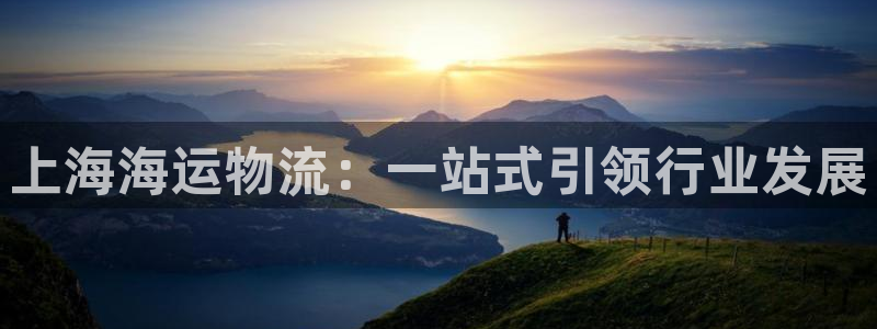 ,优游国际下载二维码：上海海运物流：