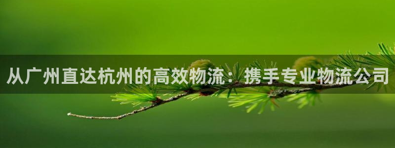 ,优游国际如何退款：从广州直达杭州的