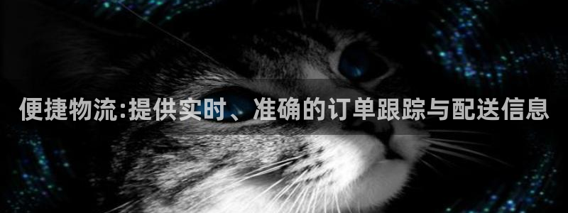 ,优游国际APP是干什么的：便捷物流