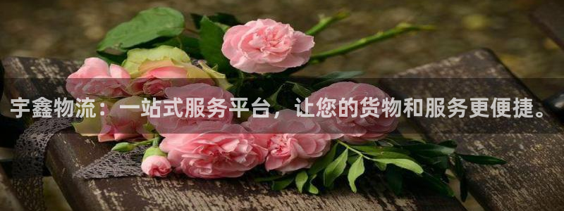 ,优游国际p扣除是什么意思：宇鑫物流