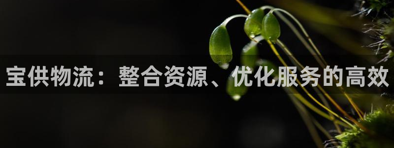 优游国际官网下载谁有