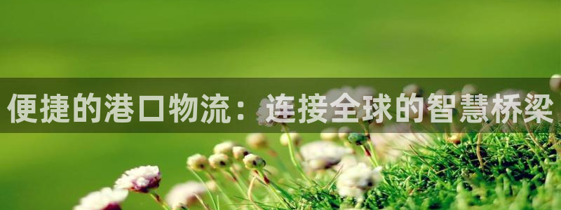 加拿大,优游国际是什么：便捷的港口物