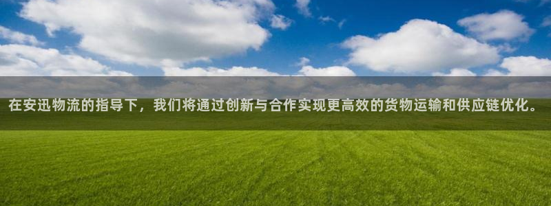 ,优游国际怎么申请代理：在安迅物流的