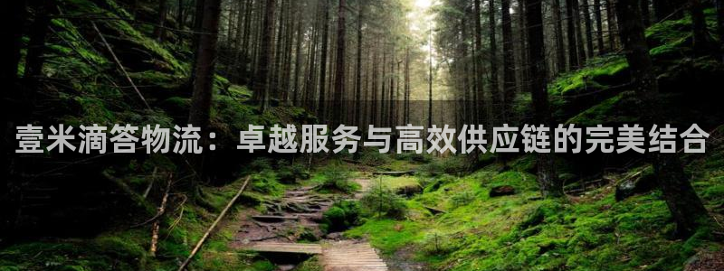 自行车,优游国际是什么意思：壹米滴答