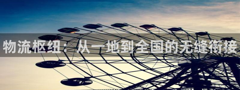 ,优游国际加拿大官网：物流枢纽：从一