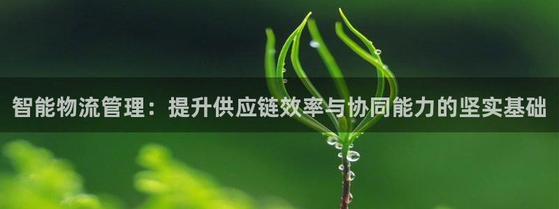 ,优游国际犯法吗：智能物流管理：提升