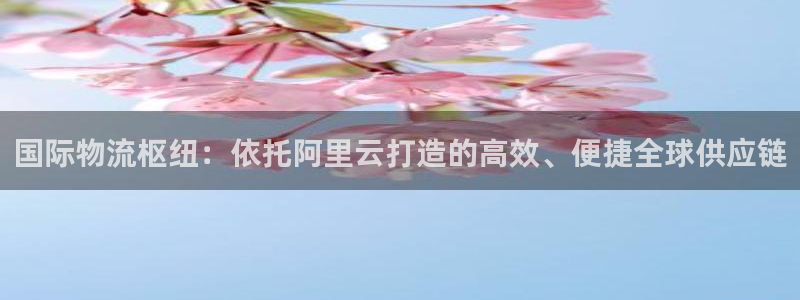 ,优游国际大神预测：国际物流枢纽：依