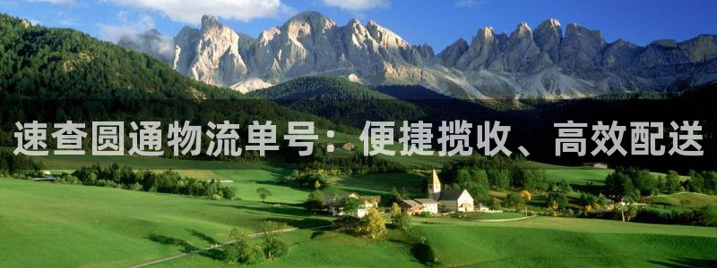 ,优游国际官网版所有版本：速查圆通物