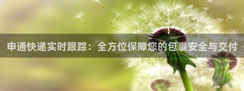 ,优游国际网赌案件：申通快递实时跟踪：全方位保障您的包裹安全