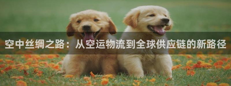 ,优游国际自行车图片：空中丝绸之路：