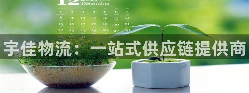 南宫,优游国际官网版：宇佳物流：一站