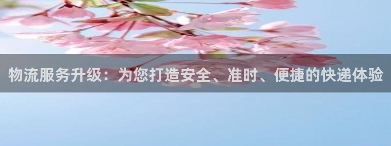,优游国际注册链接入口：物流服务升级