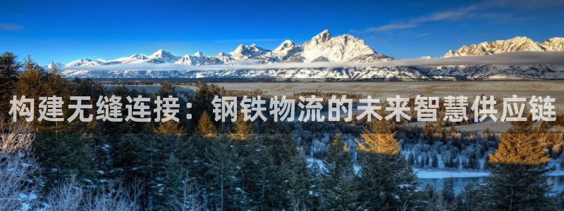 优游国际官网下载加拿大：构建无缝连接