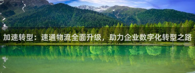 自行车,优游国际是什么意思