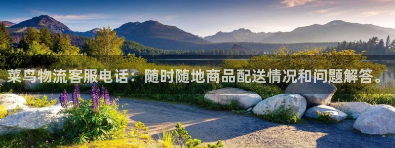 ,优游国际怎么申请代理
