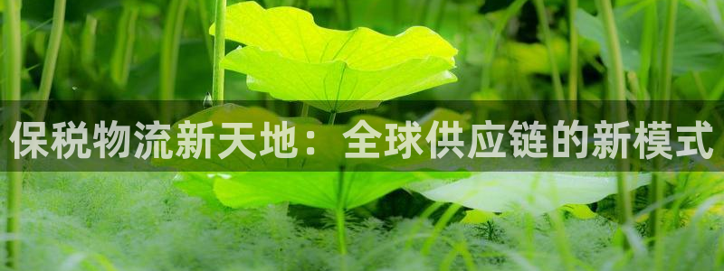 ,优游国际加拿大下载：保税物流新天地