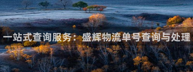 ,优游国际游戏：一站式查询服务：盛辉