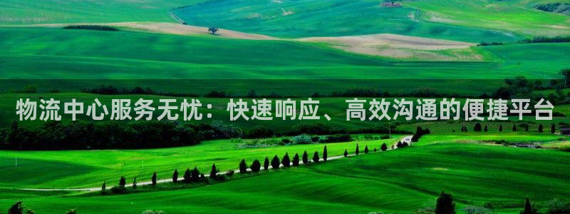 ,优游国际电子：物流中心服务无忧：快