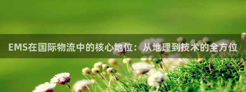 ,优游国际充值不到账怎么回事：EMS