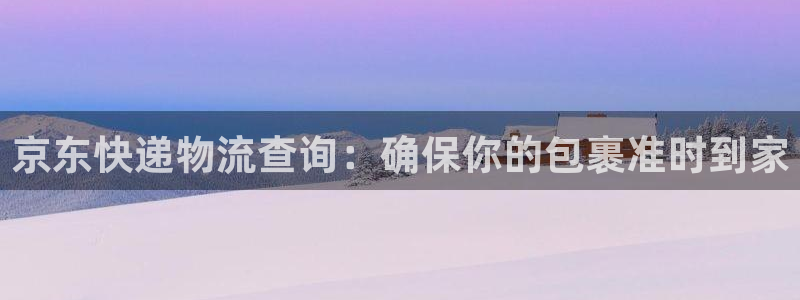 ,优游国际预测：京东快递物流查询：确