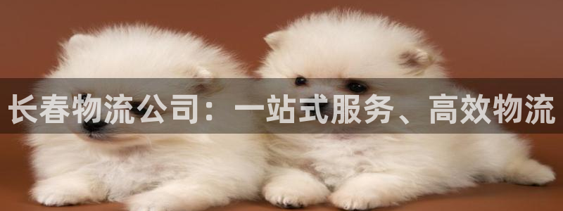 ,优游国际反水什么时候到:长春物流公