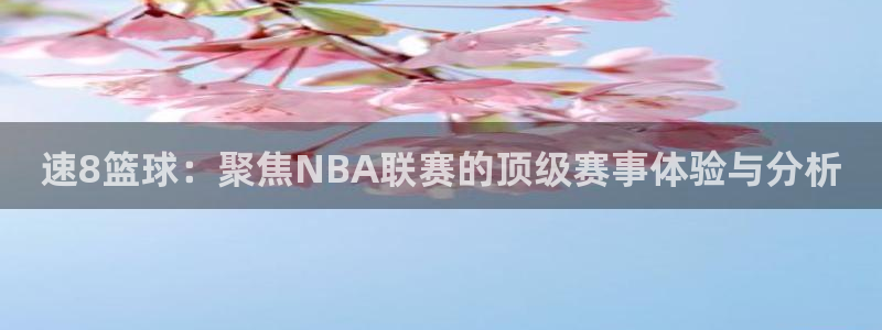 蜘蛛体育直播在线直播