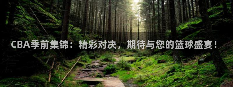 nba蜘蛛