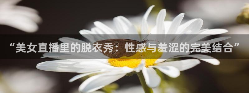 蜘蛛体育免费