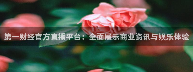 蜘蛛体育官网入口：第一财经官方直播平台：全面展示商业资讯与娱乐体验