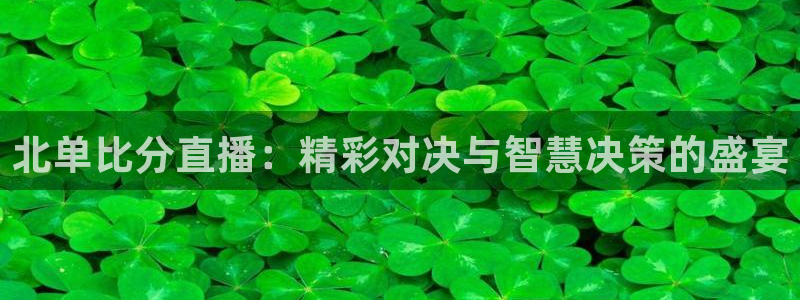 蜘蛛直播体育nba直播在线：北单比分直播：精彩对决与智慧决策的盛宴