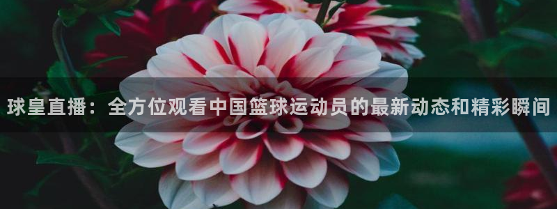 蜘蛛体育直播小狐狸：球皇直播：全方位观看中国篮球运动员的最新动态和精彩瞬间