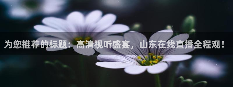 美女直播nba直播蜘蛛侠：为您推荐的标题：高清视听盛宴，山东在线直播全程观！