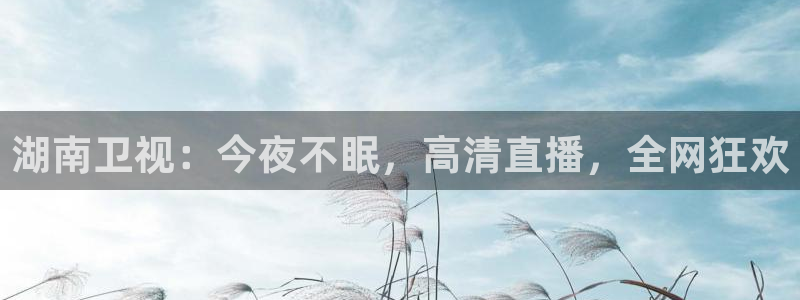 蜘蛛直播体育nba：湖南卫视：今夜不眠，高清直播，全网狂欢