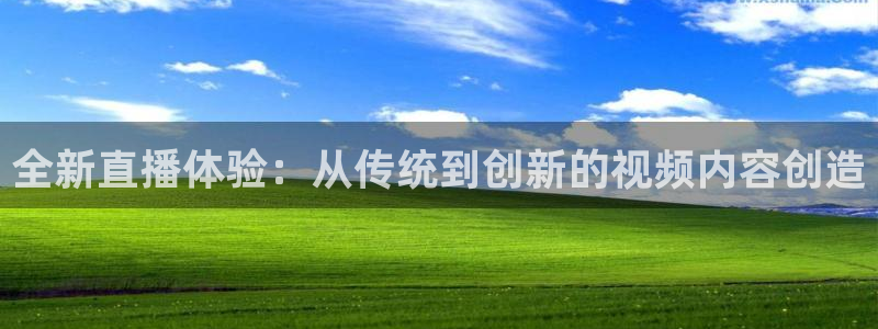 蜘蛛体育nba：全新直播体验：从传统到创新的视频内容创造