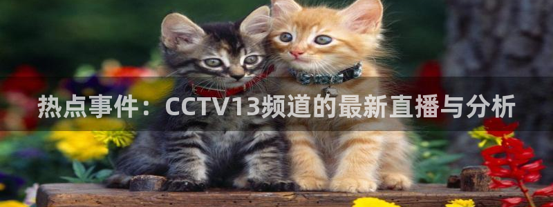 蜘蛛体育免费直播在线观看：热点事件：CCTV13频道的最新直播与分析