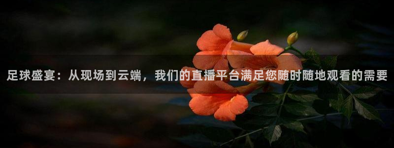 蜘蛛体育官网入口：足球盛宴：从现场到云端，我们的直播平台满足您随时随地观看的需要