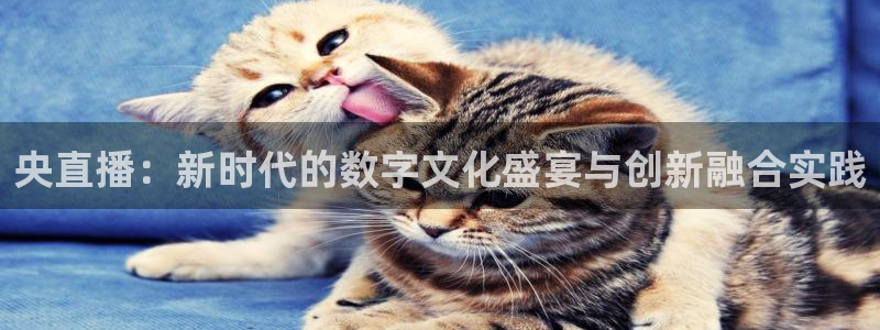 nba直播免费观看直播在线蜘蛛直播：央直播：新时代的数字文化盛宴与创新融合实践