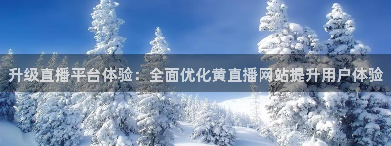蜘蛛体育直播在线直播：升级直播平台体验：全面优化黄直播网站提升用户体验