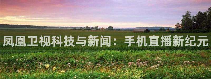蜘蛛足球：凤凰卫视科技与新闻：手机直播新纪元
